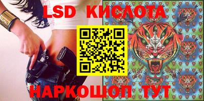 стафф Можга