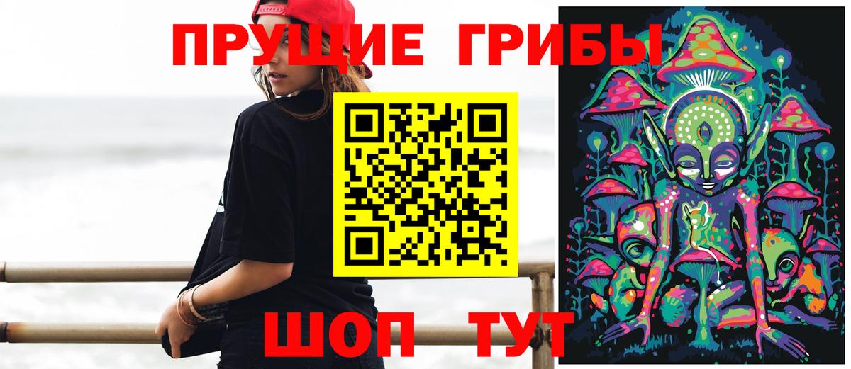 Галлюциногенные грибы Psilocybe  Вход с VPN  Усть-Джегута 